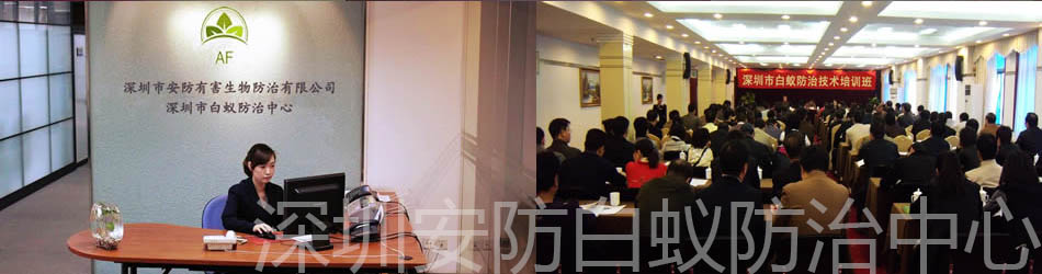 (j)ϻ혌(zhun)}(cng)(k)\,}(cng)(ch)\,бP(pn),бP(pn),؛a(chn)S(chng)
